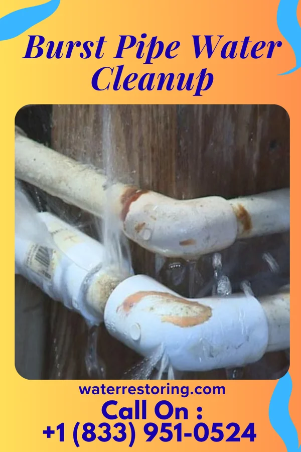 Burst Pipe Water Cleanup in Windsor, MO