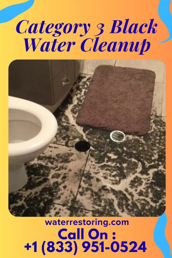 Category 3 Black Water Cleanup in Windsor, MO