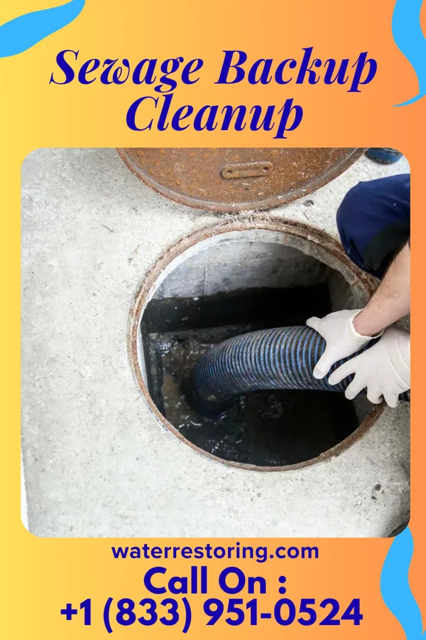 Sewage Backup Cleanup in Windsor, MO