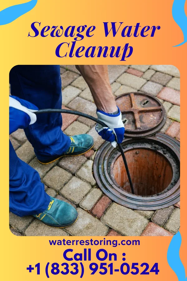 Sewage Water Cleanup in Windsor, MO